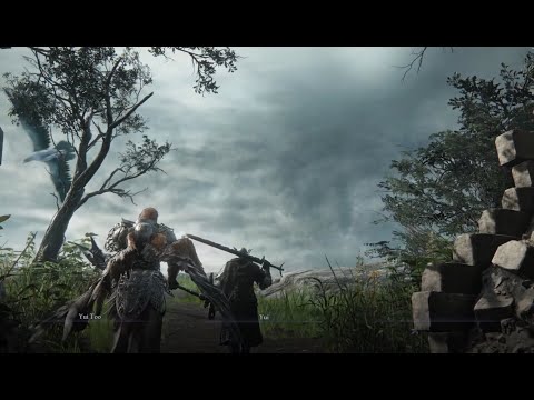 Two-Player Elden Ring Nightreign Mod Now Available for PC